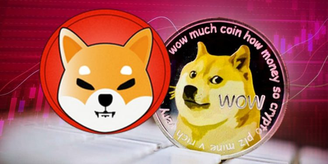 doge是什么币种(dogebull是什么币)