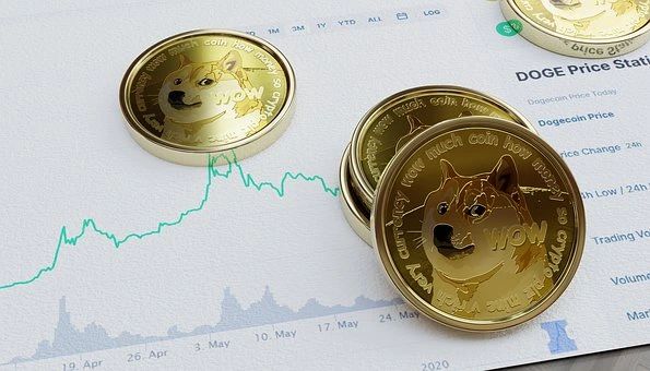 狗币的今日价格(狗币的今日价格加币)