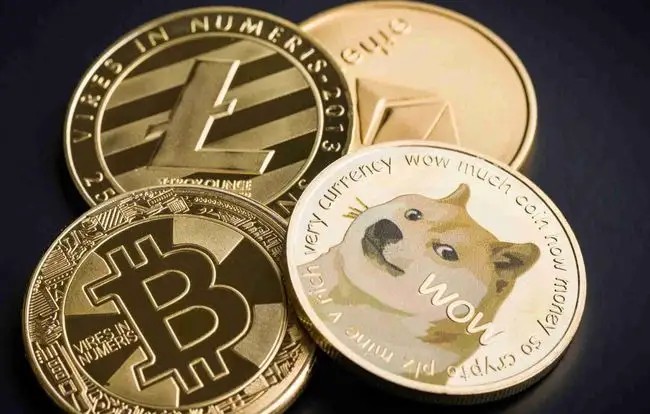 狗币的今日价格(狗币的今日价格加币)