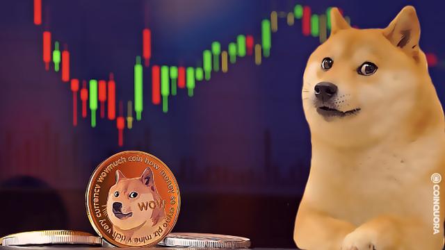 doge是什么币种(doge属于什么币种)