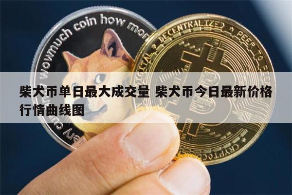 狗狗币今日价格(狗狗币今日价格行情走势图)